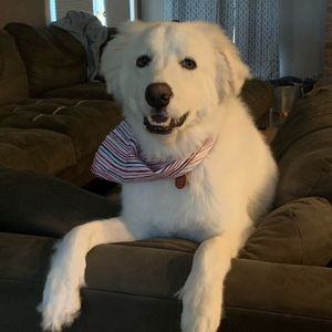 Meet your Posher, Shelly